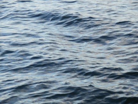 どうやったらええねん⁇淀シーHelp me‼